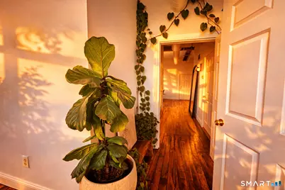 145 Canal Street #417, Shelton, CT 06484 - Photo 16