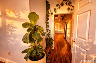 145 Canal St, Shelton, CT 06484 - Photo 16