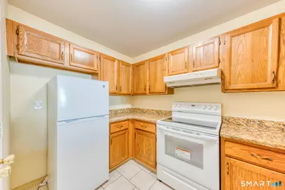 303 Willow Springs #303, New Milford, CT 06776 - Photo 12