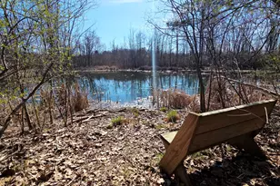 10 Eastfield Farms Dr, East Granby, CT 06026 - Photo 40