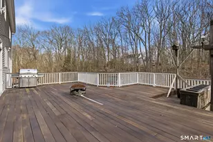 22 Misty Vale Rd, Newtown, CT 06482 - Photo 30