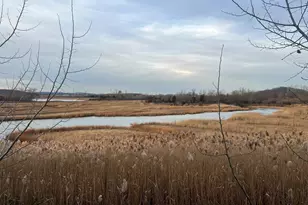 924 Quinnipiac Ave, New Haven, CT 06511 - Photo 10