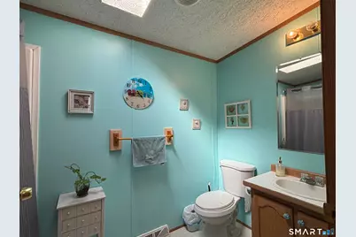 17 Haley Lane, Windham, CT 06256 - Photo 30