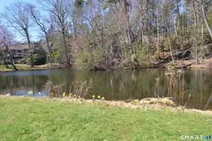 334 Heritage Vlg, Southbury, CT 06488 - Photo 32