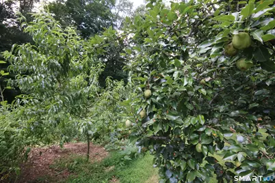 5 Hearthstone Drive, Bethel, CT 06801 - Photo 16