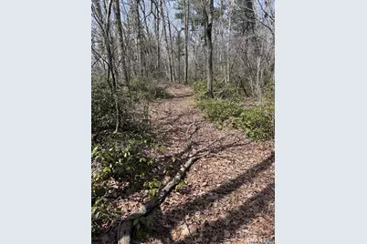 Windy Ridge Road, Warren, CT 06754 - Photo 8