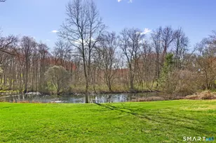 323 Smith Ridge Rd, New Canaan, CT 06840 - Photo 34