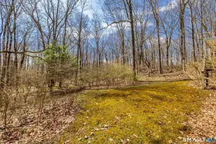 213 Brush Hill Rd, Litchfield, CT 06759 - Photo 26