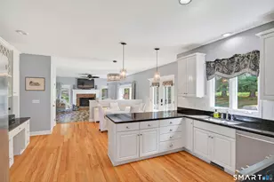 10 Yogananda St, Newtown, CT 06482 - Photo 6