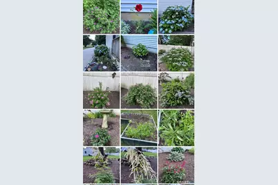 194 Browning Road, Norwich, CT 06360 - Photo 32