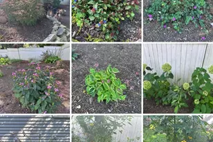 194 Browning Rd, Norwich, CT 06360 - Photo 36