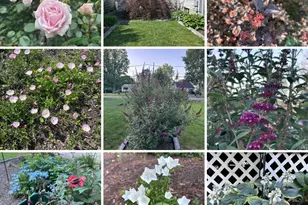 194 Browning Rd, Norwich, CT 06360 - Photo 34