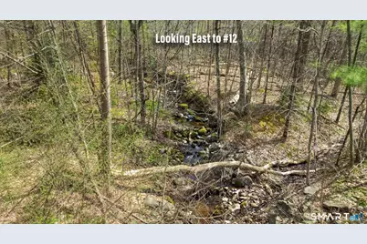 20 Breezy Knoll, Avon, CT 06001 - Photo 16