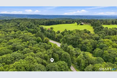 85 East Litchfield Road, Litchfield, CT 06759 - Photo 8