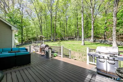 44 Aunt Pattys Lane West, Bethel, CT 06801 - Photo 24
