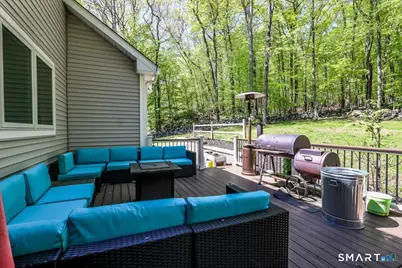 44 Aunt Pattys Lane West, Bethel, CT 06801 - Photo 24