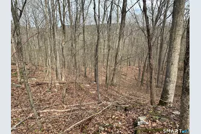 40 Frenchmans Road, New Milford, CT 06776 - Photo 4