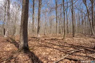 0 Cold Spring Rd, East Haddam, CT 06423 - Photo 6