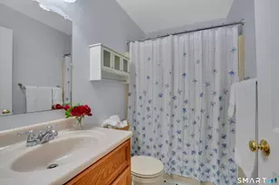 306 Lake Vista Dr, East Hampton, CT 06424 - Photo 18