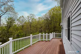 19 Evergreen Pl, Ridgefield, CT 06877 - Photo 32