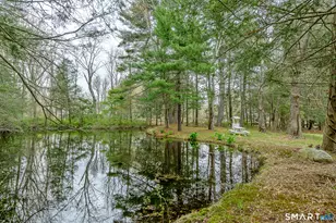 173 Bennett Pond Rd, Canterbury, CT 06331 - Photo 40