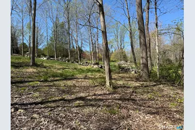 163 Clapboard Ridge Road, Danbury, CT 06811 - Photo 6
