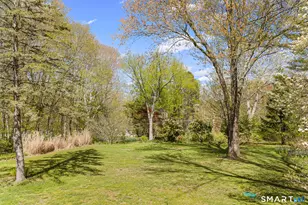 1169 Flanders Rd, Coventry, CT 06238 - Photo 34