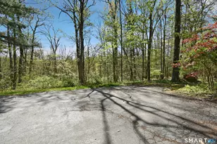 12 Crane Pl, Simsbury, CT 06070 - Photo 36