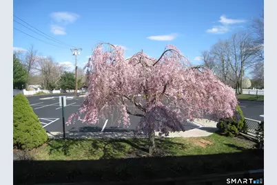 295 Washington Avenue #Suite 1, Hamden, CT 06518 - Photo 14