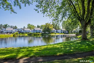 56 Cinnamon Springs, South Windsor, CT 06074 - Photo 28