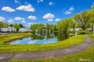 56 Cinnamon Springs, South Windsor, CT 06074 - Photo 30