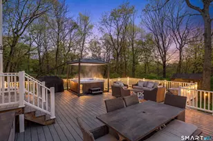 19 Crabapple Ln, Newtown, CT 06470 - Photo 30