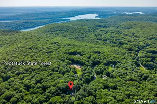 238 Pine Hill Rd, New Fairfield, CT 06812 - Photo 34
