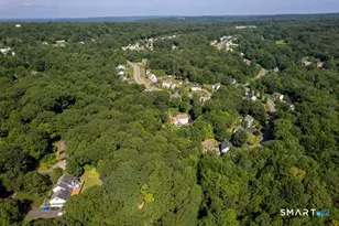 51 Brookfield Rd, Seymour, CT 06483 - Photo 40