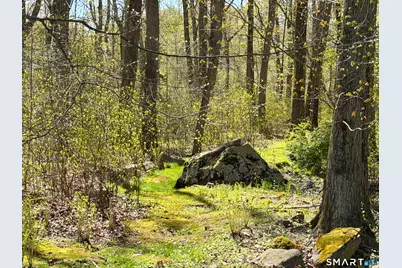 279 Cheesespring Road, Wilton, CT 06897 - Photo 40