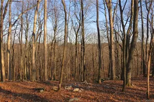 67 Umpawaug Rd, Redding, CT 06896 - Photo 1