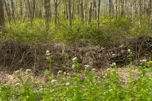 0 Clark Hill Rd, East Haddam, CT 06423 - Photo 1