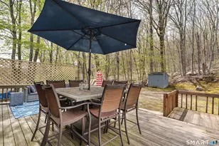 245 Red Mountain Ave, Torrington, CT 06790 - Photo 26