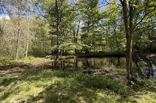 602 Fan Hill Rd, Monroe, CT 06468 - Photo 32