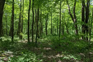 17 Old Homestead Ln, Kent, CT 06757 - Photo 1