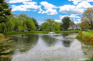 314 Georgetown Dr, Glastonbury, CT 06033 - Photo 30