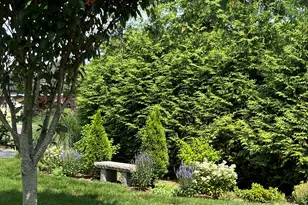 11 Pond Ln, Darien, CT 06820 - Photo 16