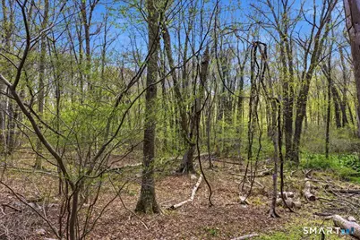 76 Dayton Road, Waterford, CT 06385 - Photo 6