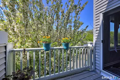 51 Staffordshire Common Drive #51, Wallingford, CT 06492 - Photo 20
