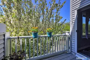 51 Staffordshire Common Dr, Wallingford, CT 06492 - Photo 20