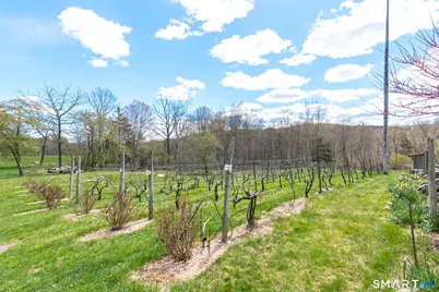 29 Spencer Road, Haddam, CT 06441 - Photo 6