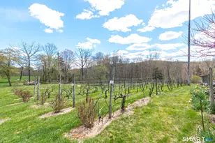 29 Spencer Rd, Haddam, CT 06441 - Photo 6
