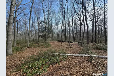 Pleasure Hill Road, Franklin, CT 06254 - Photo 2