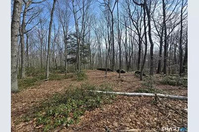 Pleasure Hill Road, Franklin, CT 06254 - Photo 14