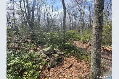 Pleasure Hill Road, Franklin, CT 06254 - Photo 4